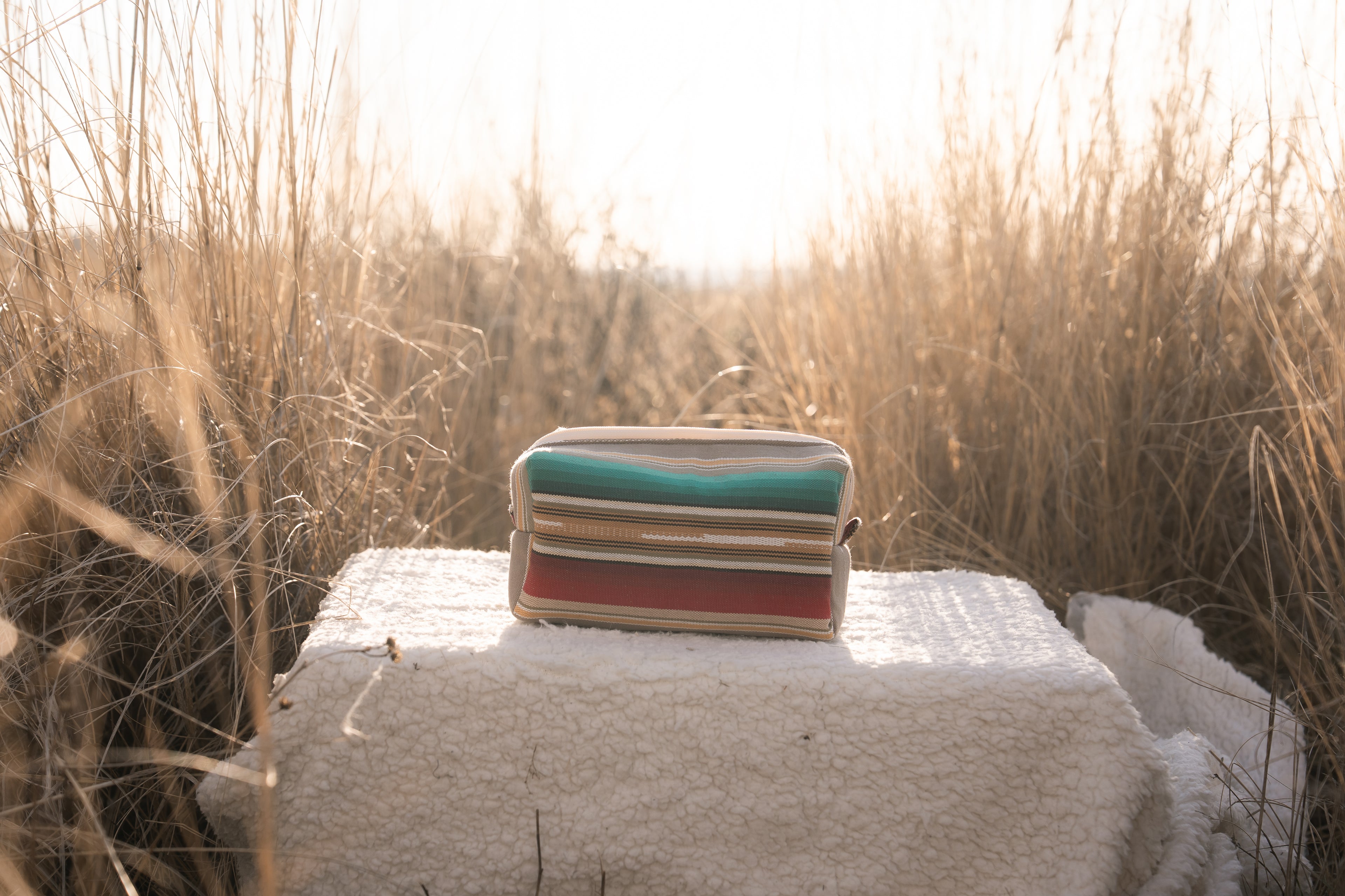 Western Striped Essentials Bag