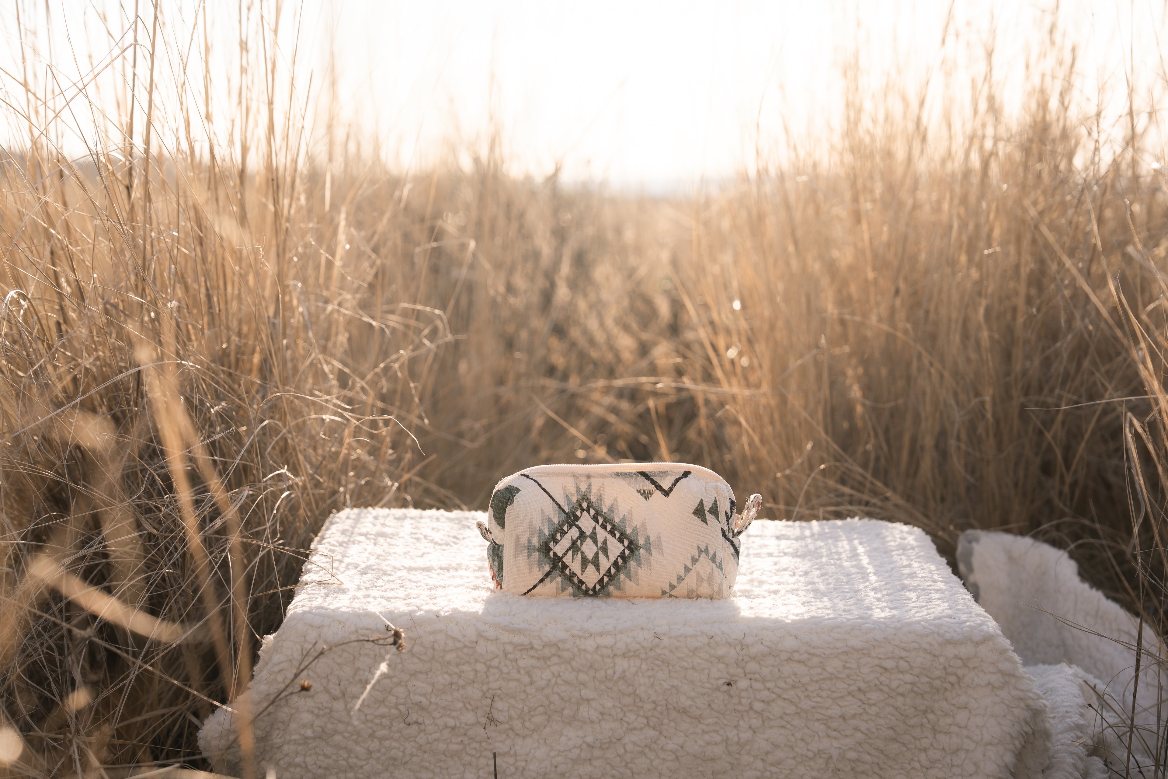 Modern Aztec Mini Bag