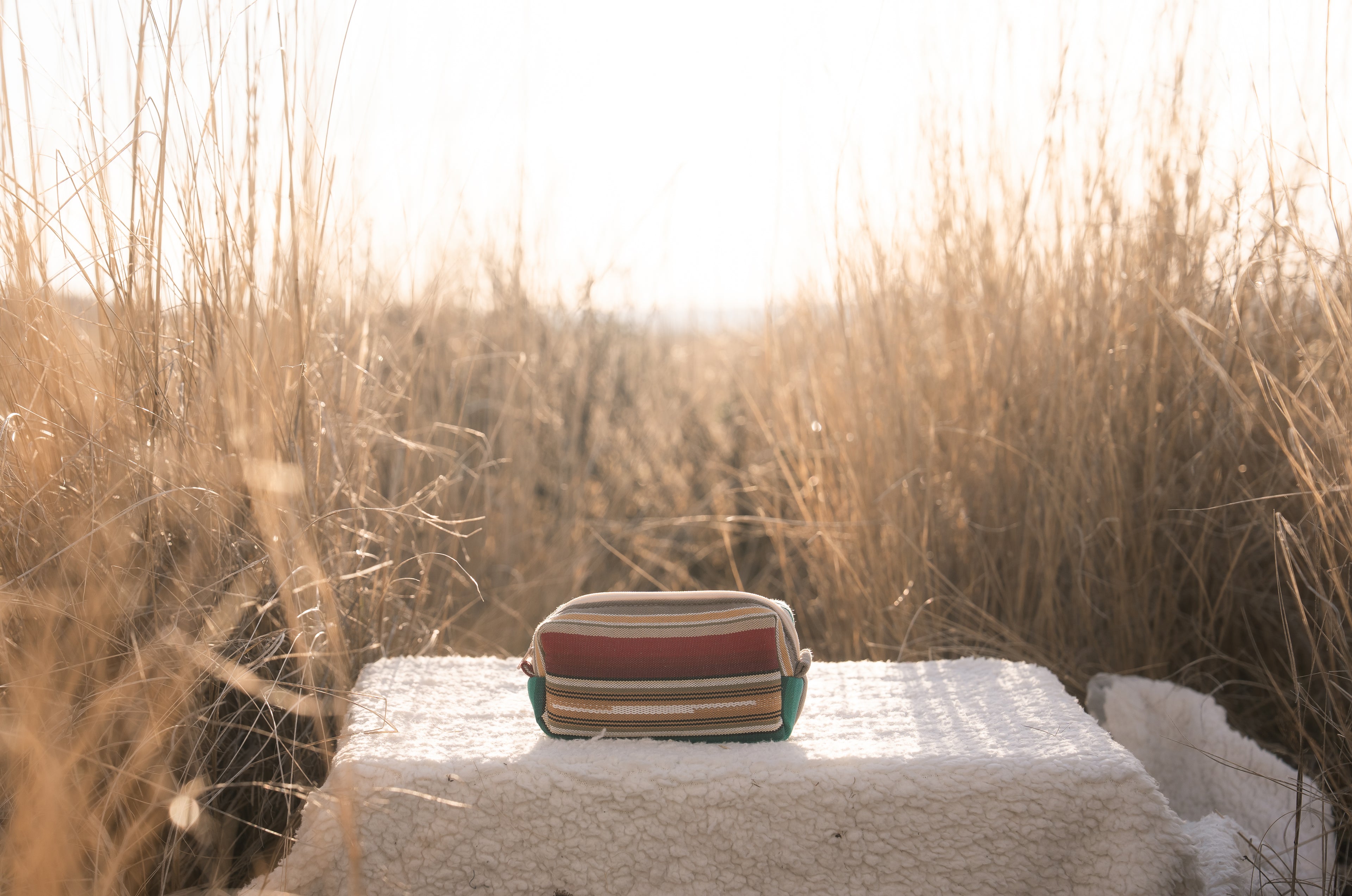 Western Striped Mini Bag